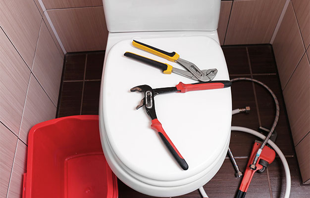 Toilet Repairs
